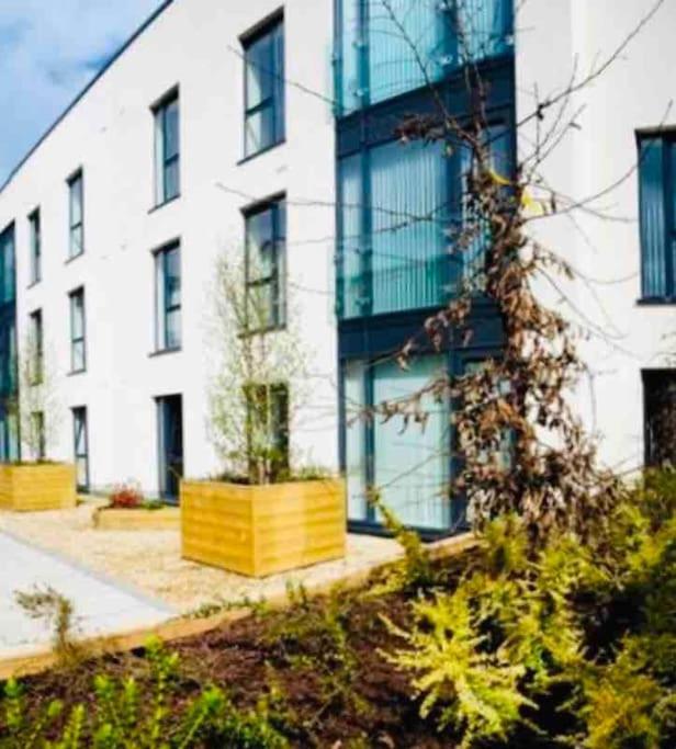 Ormeau Road Stylish Double Bedroom Luxury Apartment Belfast Buitenkant foto